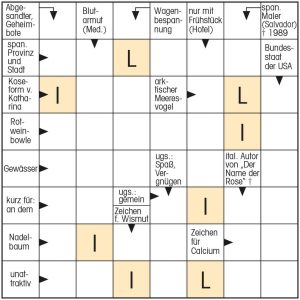 Schwedenrätsel mit Hilfsbuchstaben Beispielbild