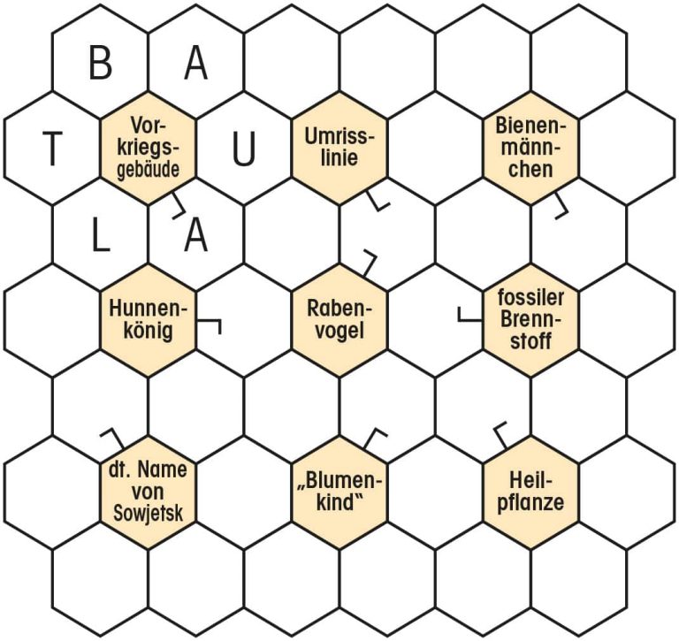 Wabenrätsel - Defis intern