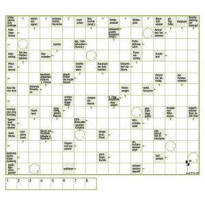 Produktbild für Schwedenrätsel 17x14