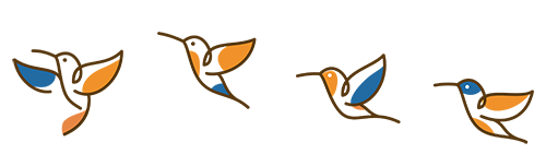 Startcatcher Kolibri - Wieviele kannst du zählen?